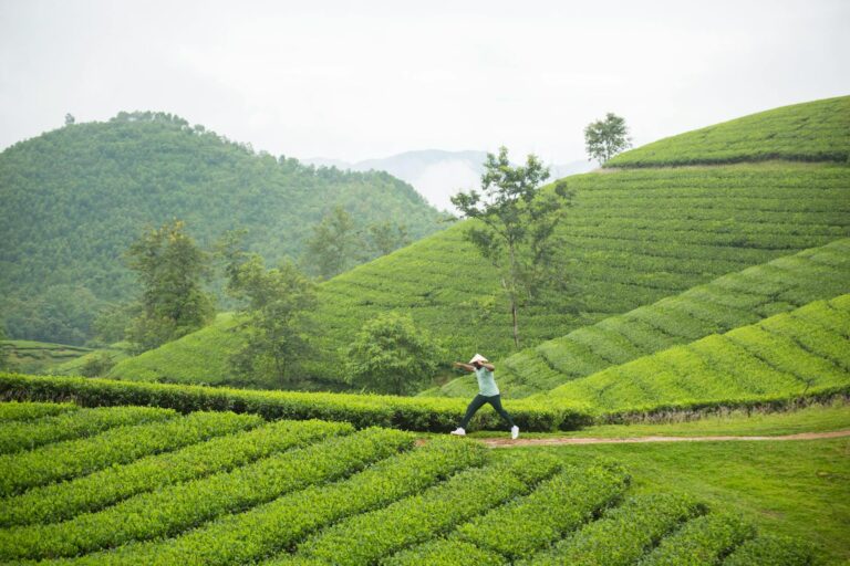 4. How Jason Bateman Uses Running to Manage Stress in Hollywood - Featured image