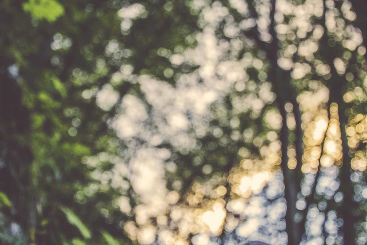 Common Foot Stress Injuries and Their Mechanical Causes