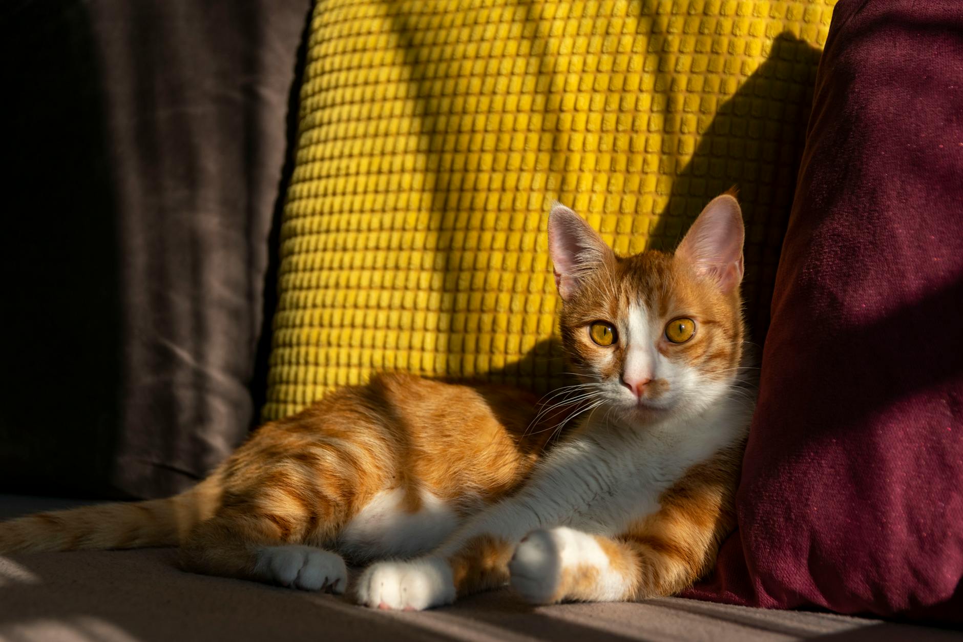 Common Mistakes That Derail Couch-to-5-Mile Progress