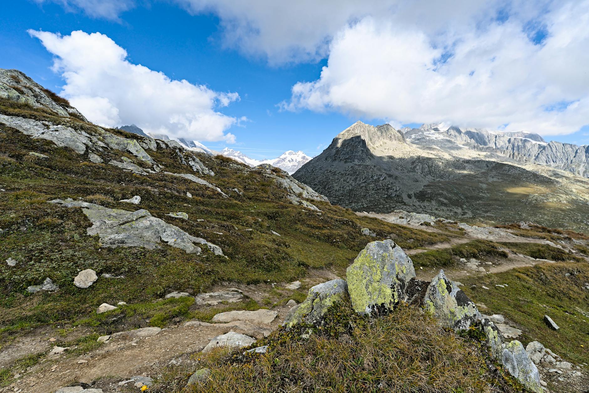 How Natural Terrain Absorbs Impact and Reduces Injury Risk