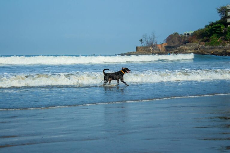 Is Running 5 Miles a Day Enough for Lifelong Heart Health? - Featured image