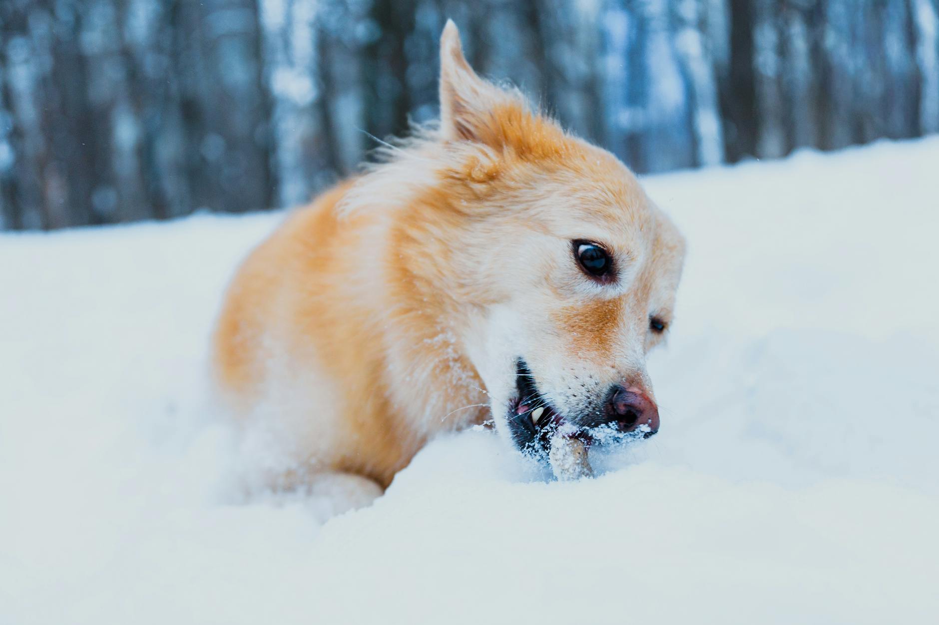 Lesser-Known Running Benefits for Skin, Aging, and Longevity