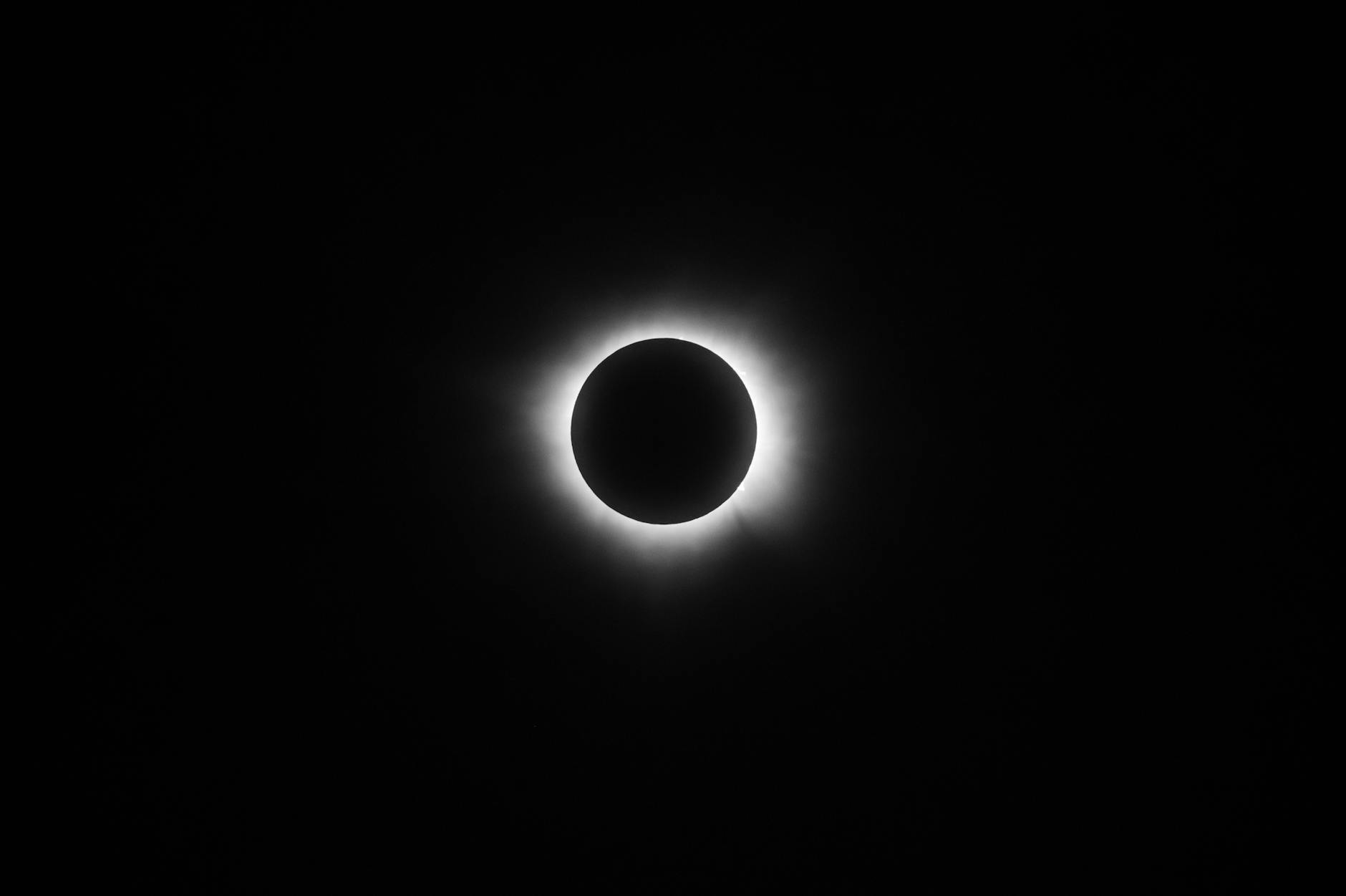 The Afterburn Effect and Total Calorie Expenditure