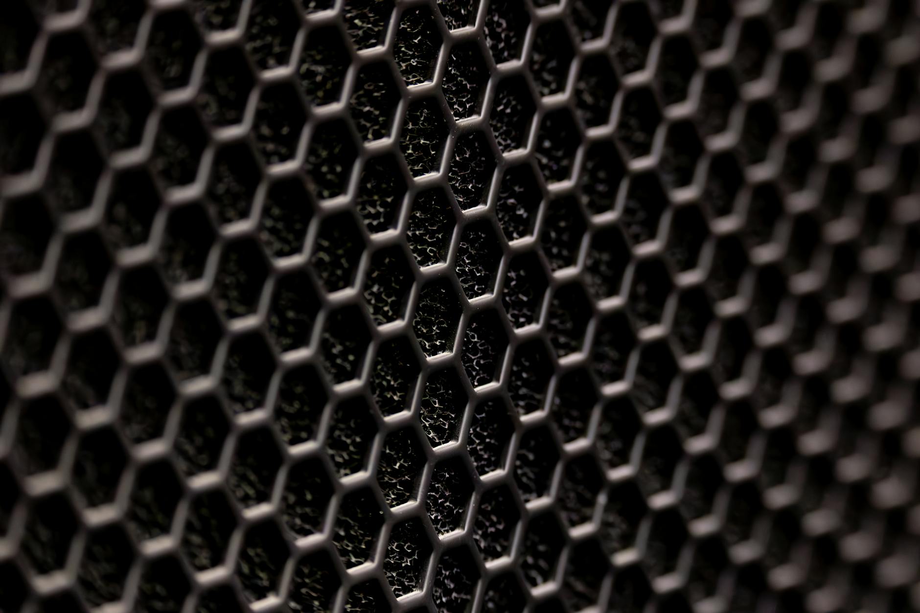 What Are the Safest Ways to Modify Cardio Workouts for Chronic Health Conditions?