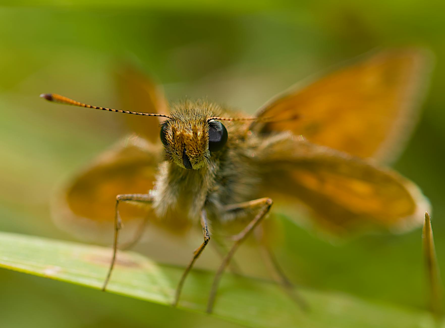 What Does a Lower Resting Heart Rate Mean for Fitness After 50?