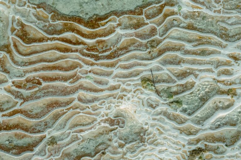 Carbon Plates: Useful Outside, Unnecessary on Treadmill? - Featured image