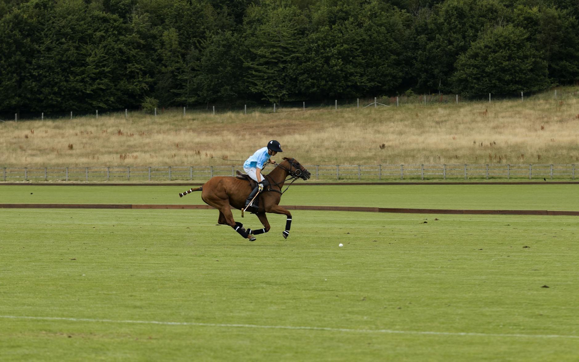 Gait Changes and Their Impact on Treadmill Shoe Wear Distribution