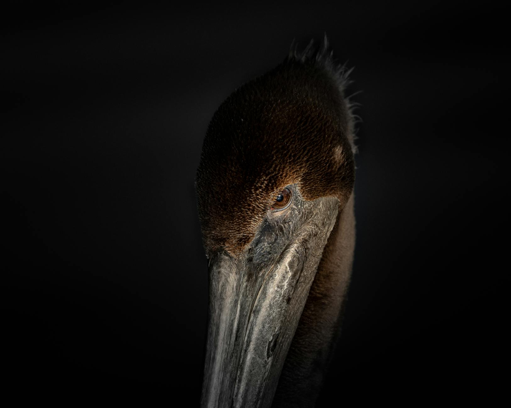 How Do Walking Intensity Minutes Actually Get Calculated?