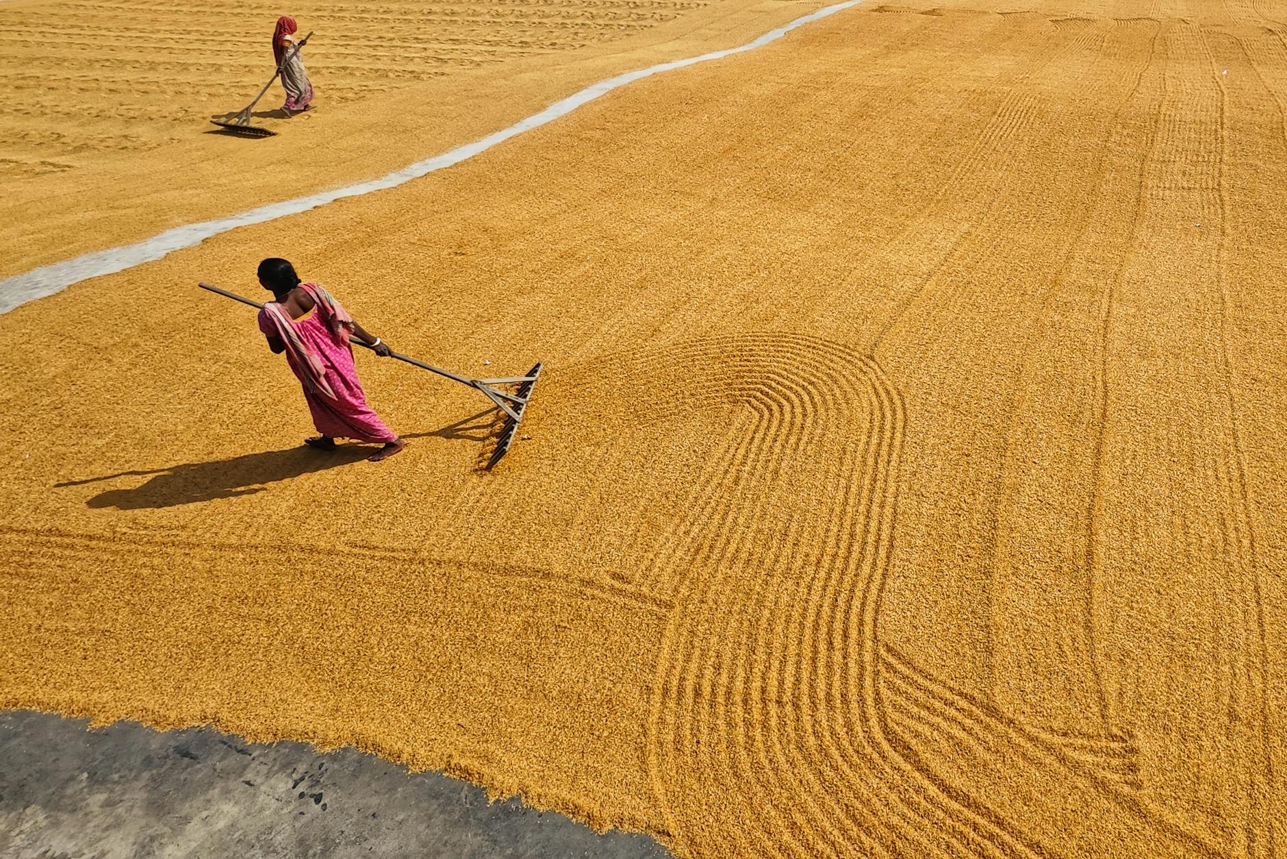 How Moderate and Vigorous Minutes Work Together