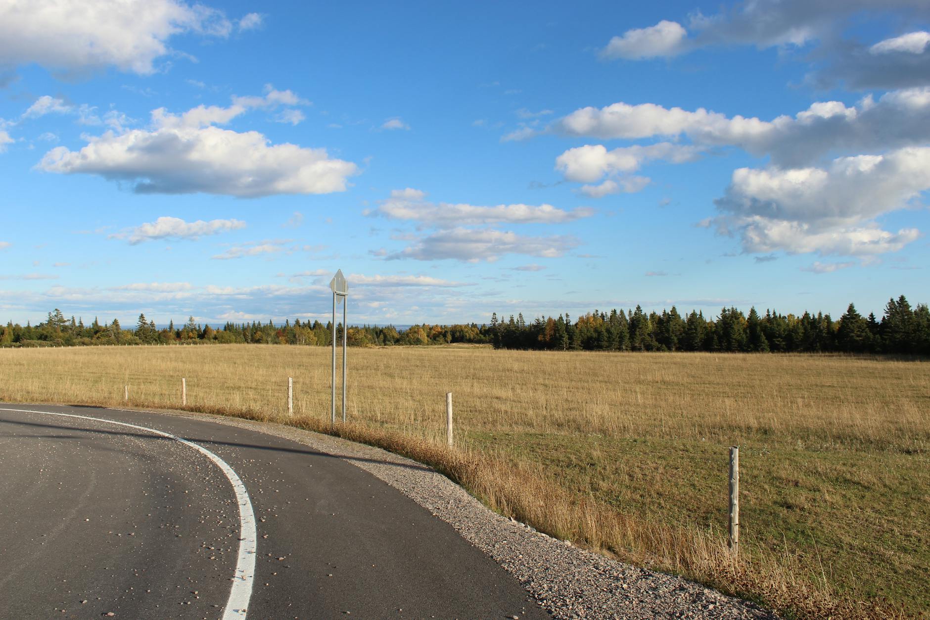 The Role of Easy Mileage in Improving Tempo Performance