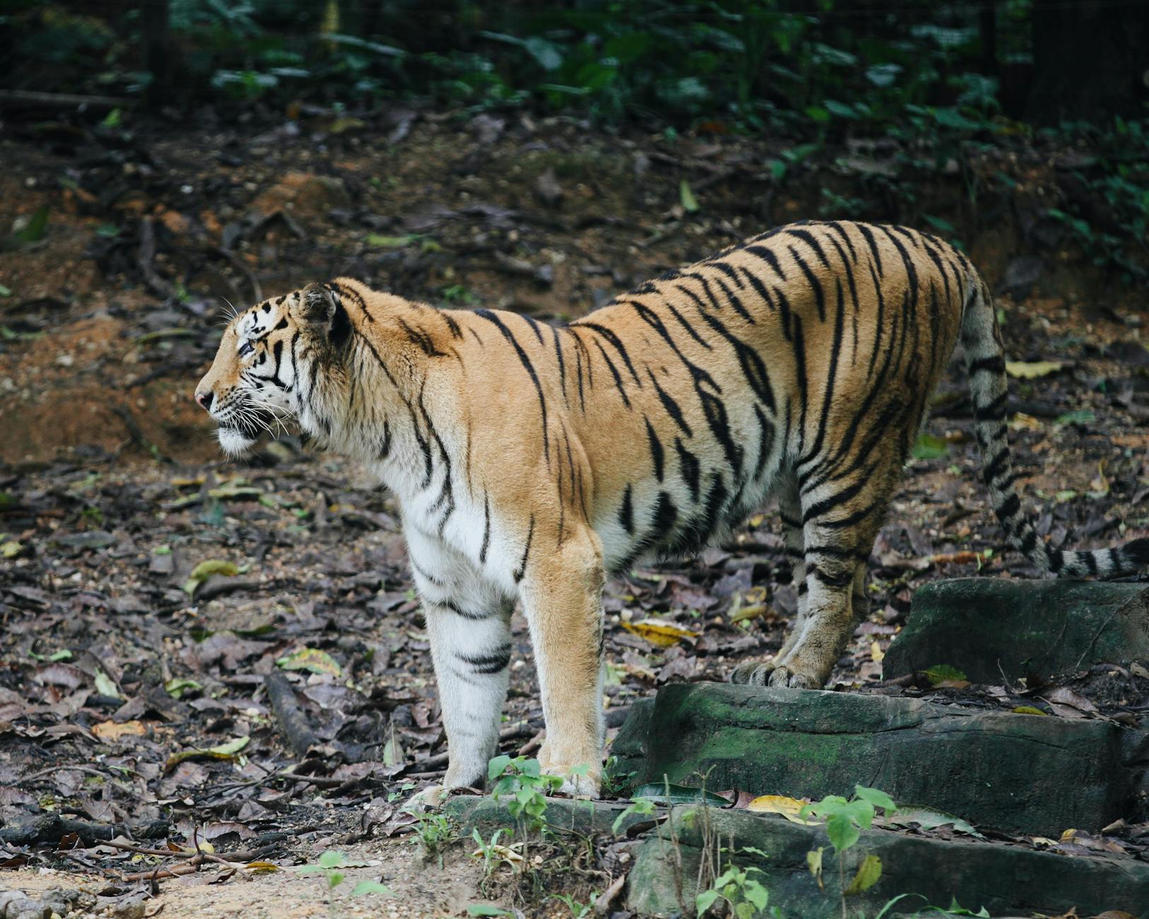 What Are the Biggest Training Mistakes That Slow Trail Runners Down?