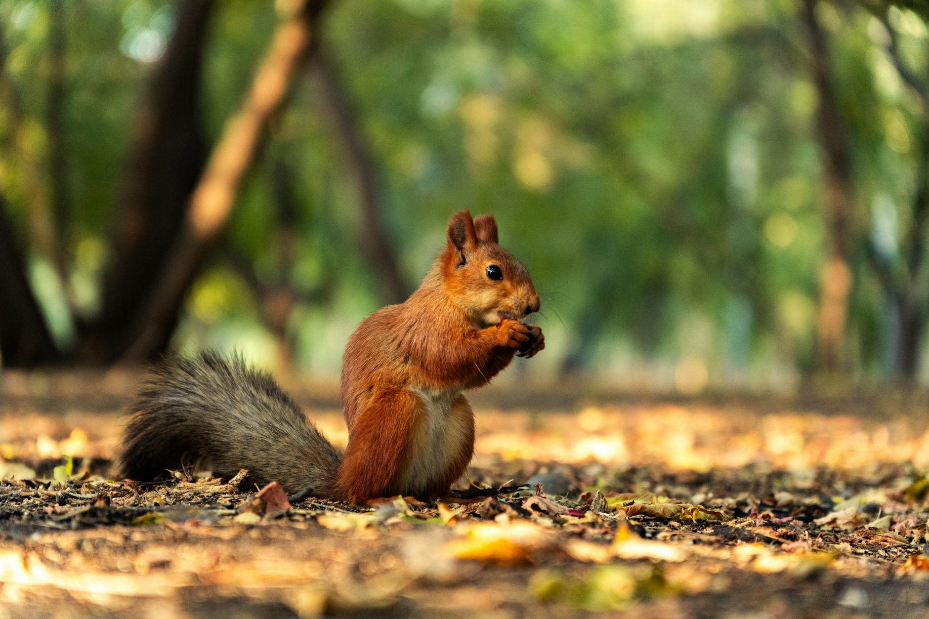 What Intensity Level Does Downhill Skiing Actually Provide?