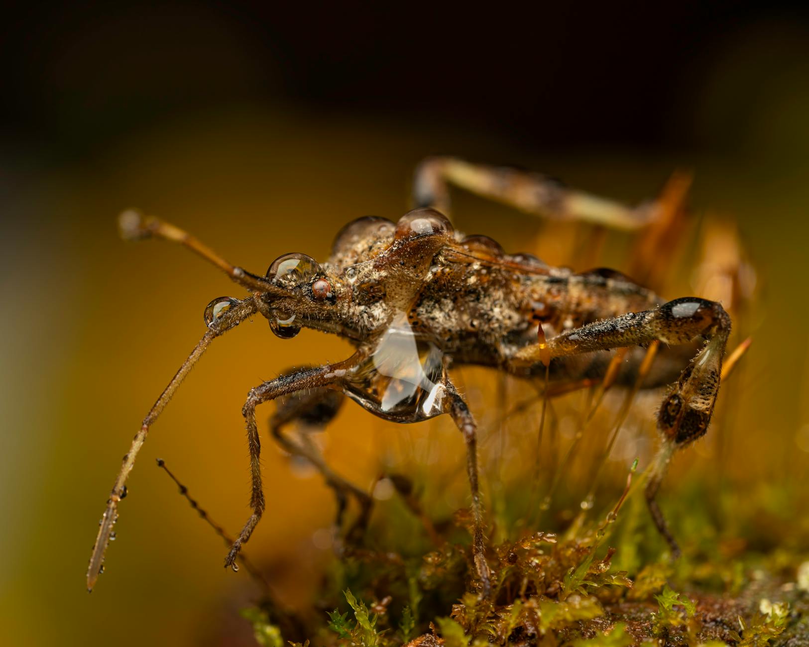 Why Does the 150-Minute Guideline Feel Impossible for Most People?