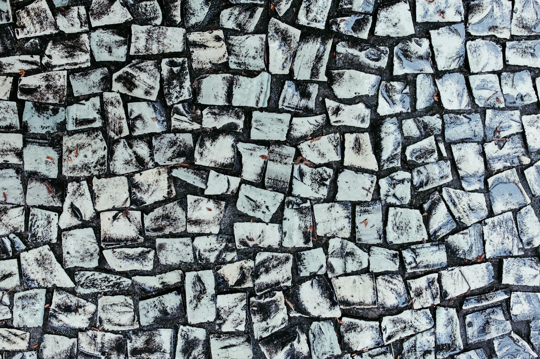 Body Composition Changes From Consistent Dance Practice