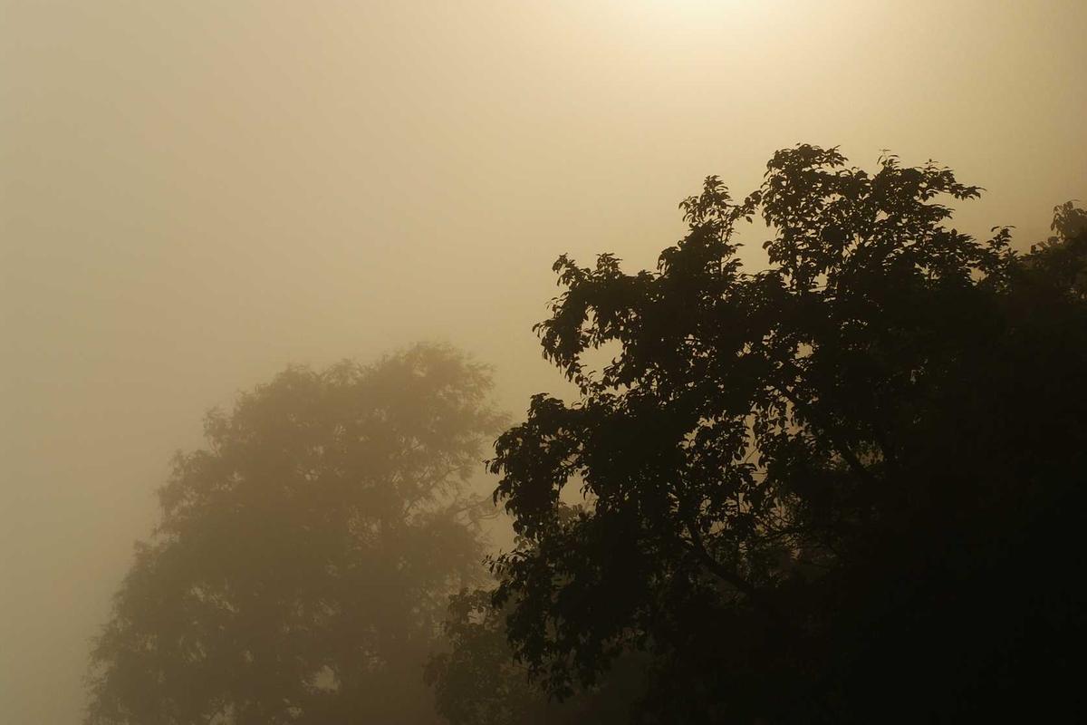 Common Fitting Mistakes and When to Replace Your Shoes