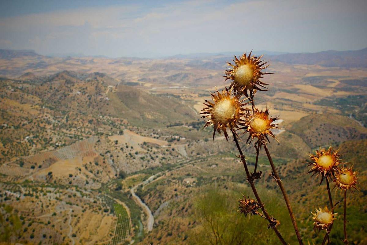 Common Mistakes That Sabotage Kickboxing Fat Loss Results