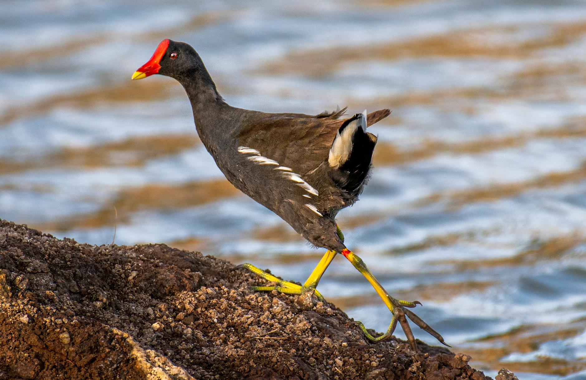 Common Mistakes When Selecting Long-Distance Footwear