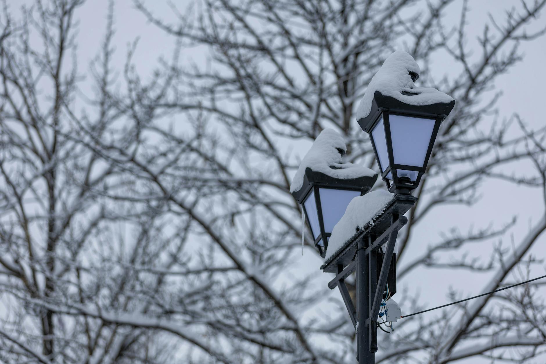 How Does Cold Weather Change Your Running Shoe Performance?
