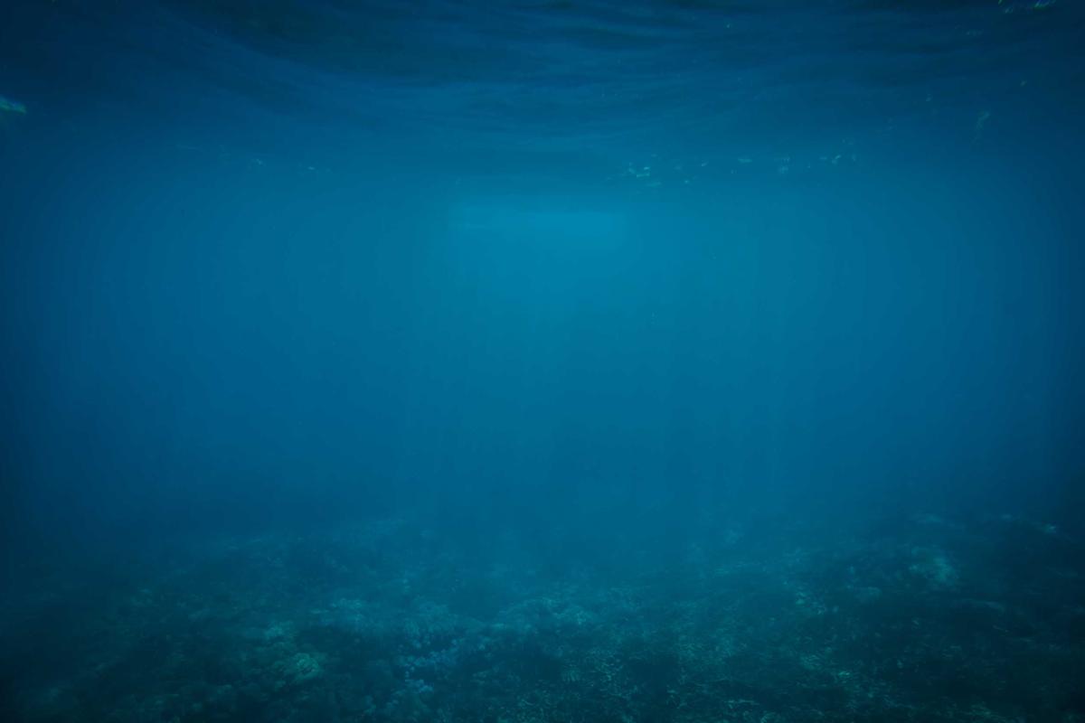 How Many Calories Do You Actually Burn Running vs Walking?