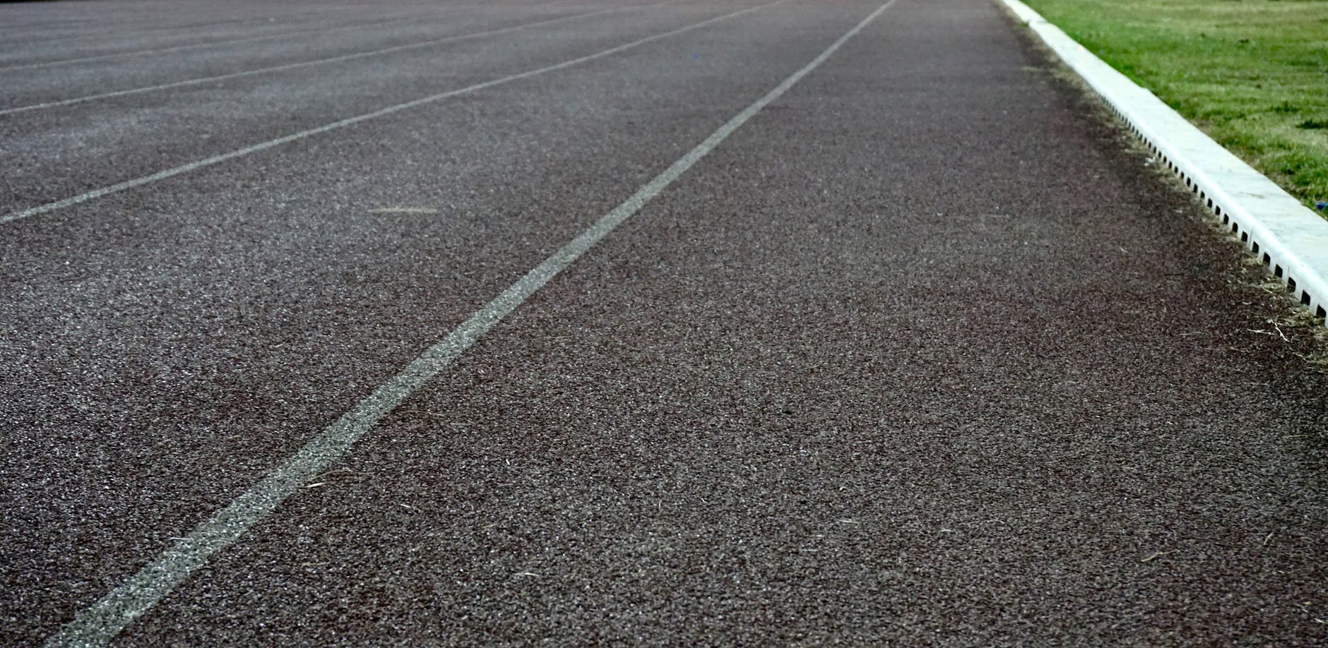How Often Should You Do Track Workouts in a Training Schedule?