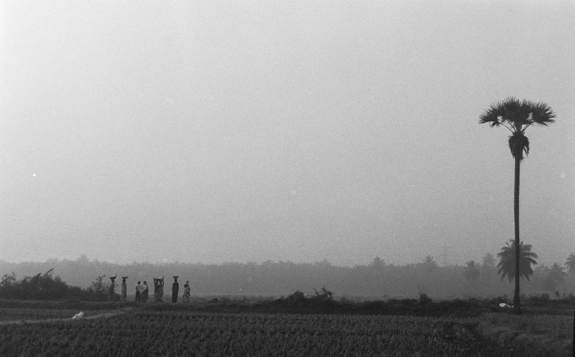 How to Keep Running While Recovering from Runner's Knee