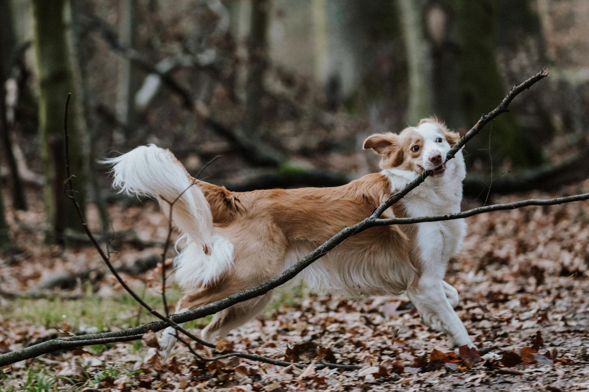 How to Keep Running Without Making Plantar Fasciitis Worse