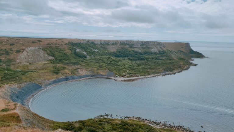 Premium Walking Shoes Worth the Investment - Featured image