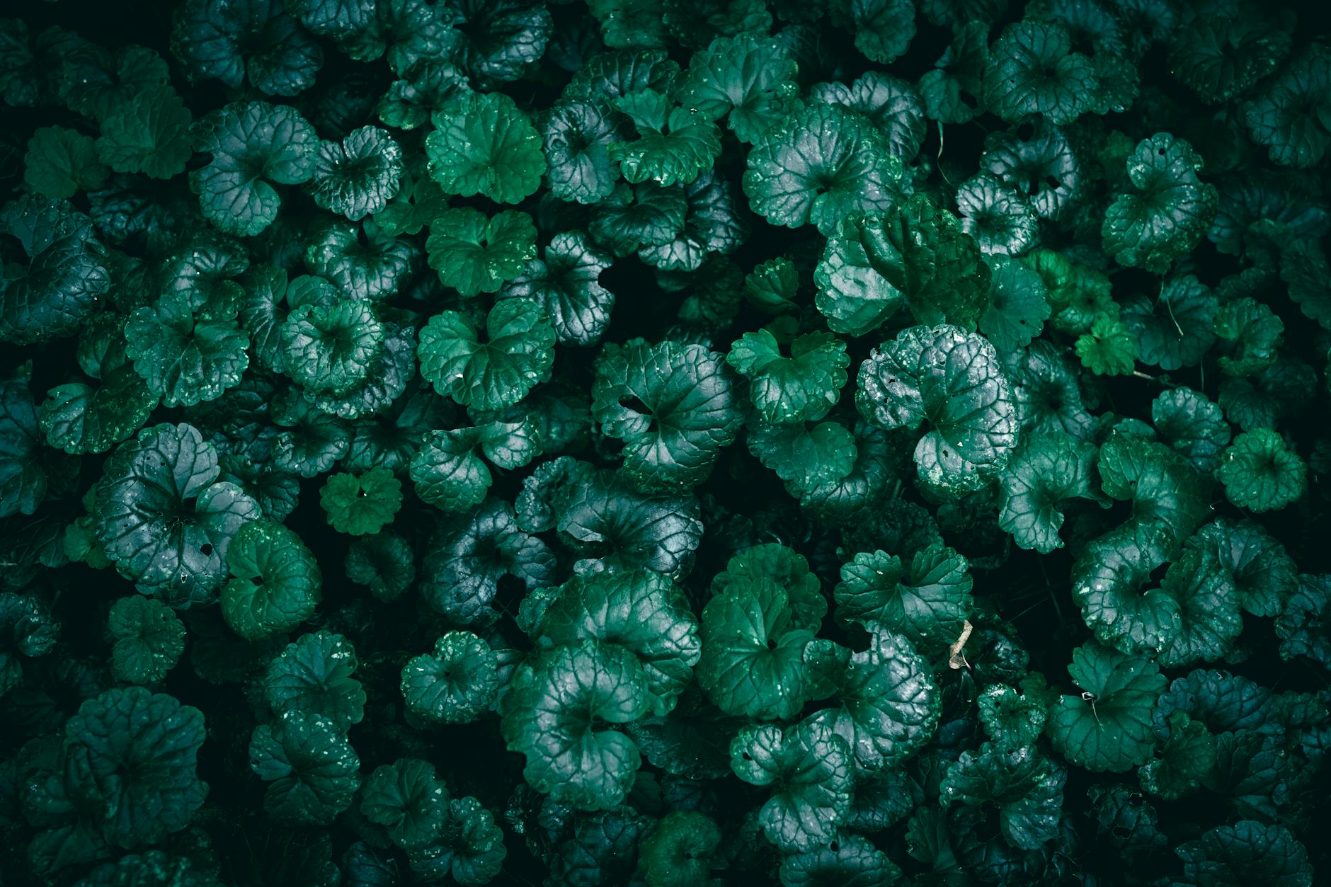 Running Form Fixes That Reduce Lumbar Load