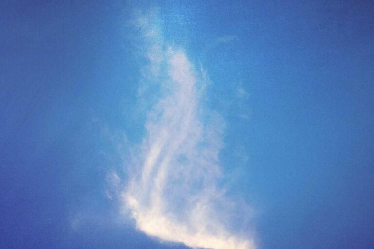 Running or Walking: Which Is More Sustainable for Weight Loss? - Featured image