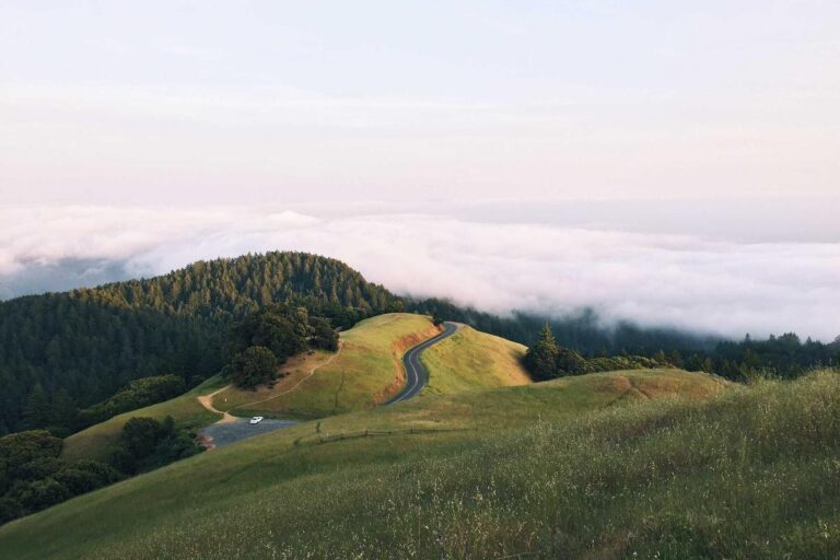 Walking Every Day vs Running a Few Times a Week: Which Wins? - Featured image