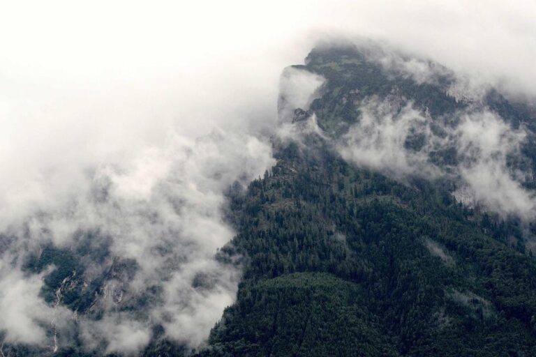 Walking vs Running Calories Burned: Which Wins for Fat Loss? - Featured image