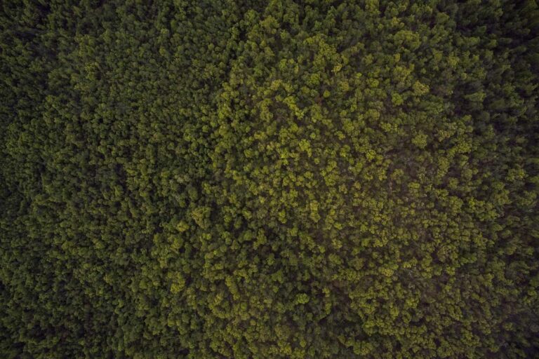 Walking vs Running for Weight Loss After 40: What Works Best? - Featured image