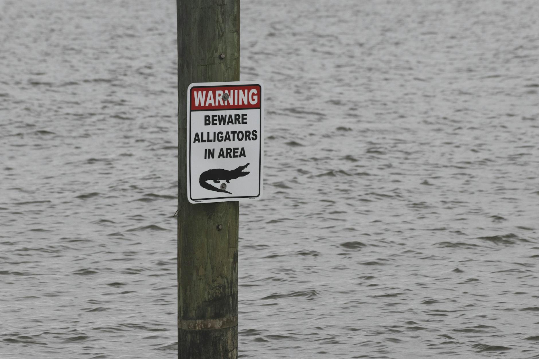 Warning Signs That Demand Training Modifications