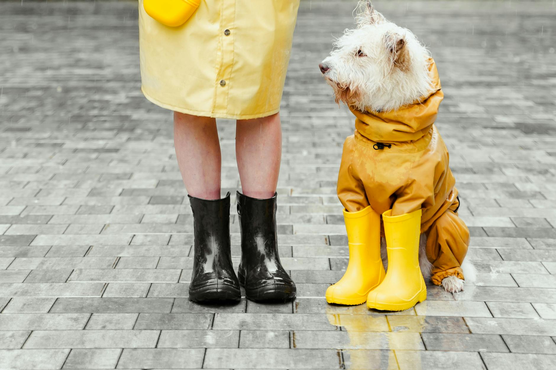 Waterproof Walking Shoes for Rainy Weather - Featured image