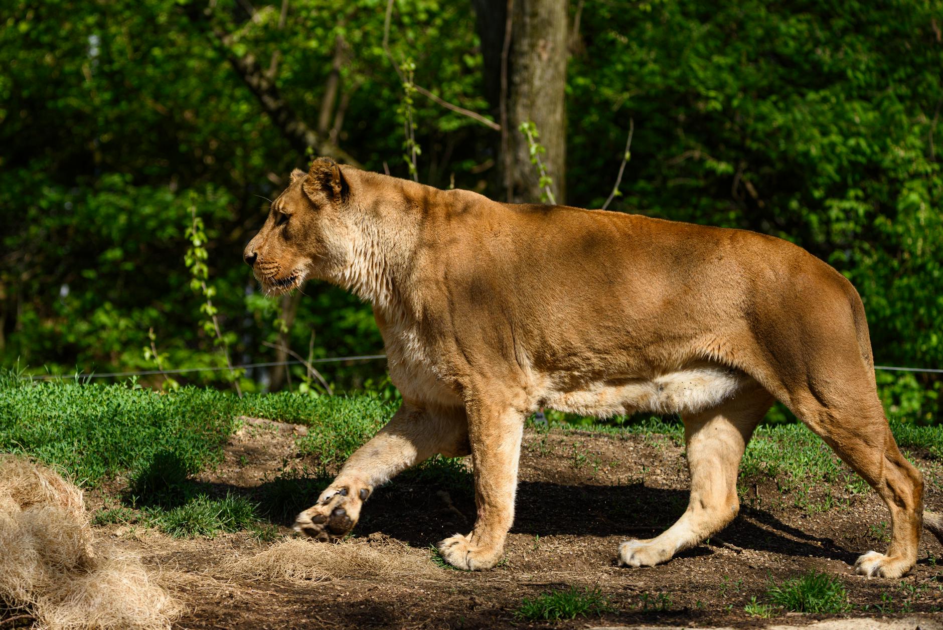 What Are the Biggest Hill Repeat Mistakes That Kill Your Speed?