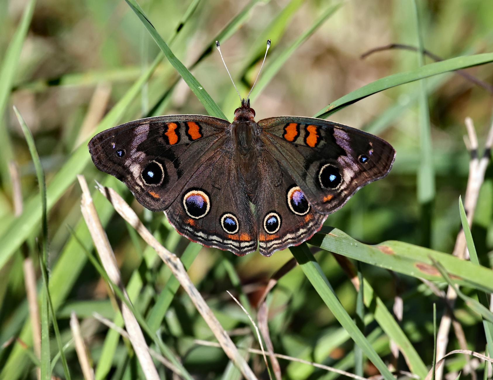 What Are the Most Common Circuit Training Mistakes That Waste Your Time?
