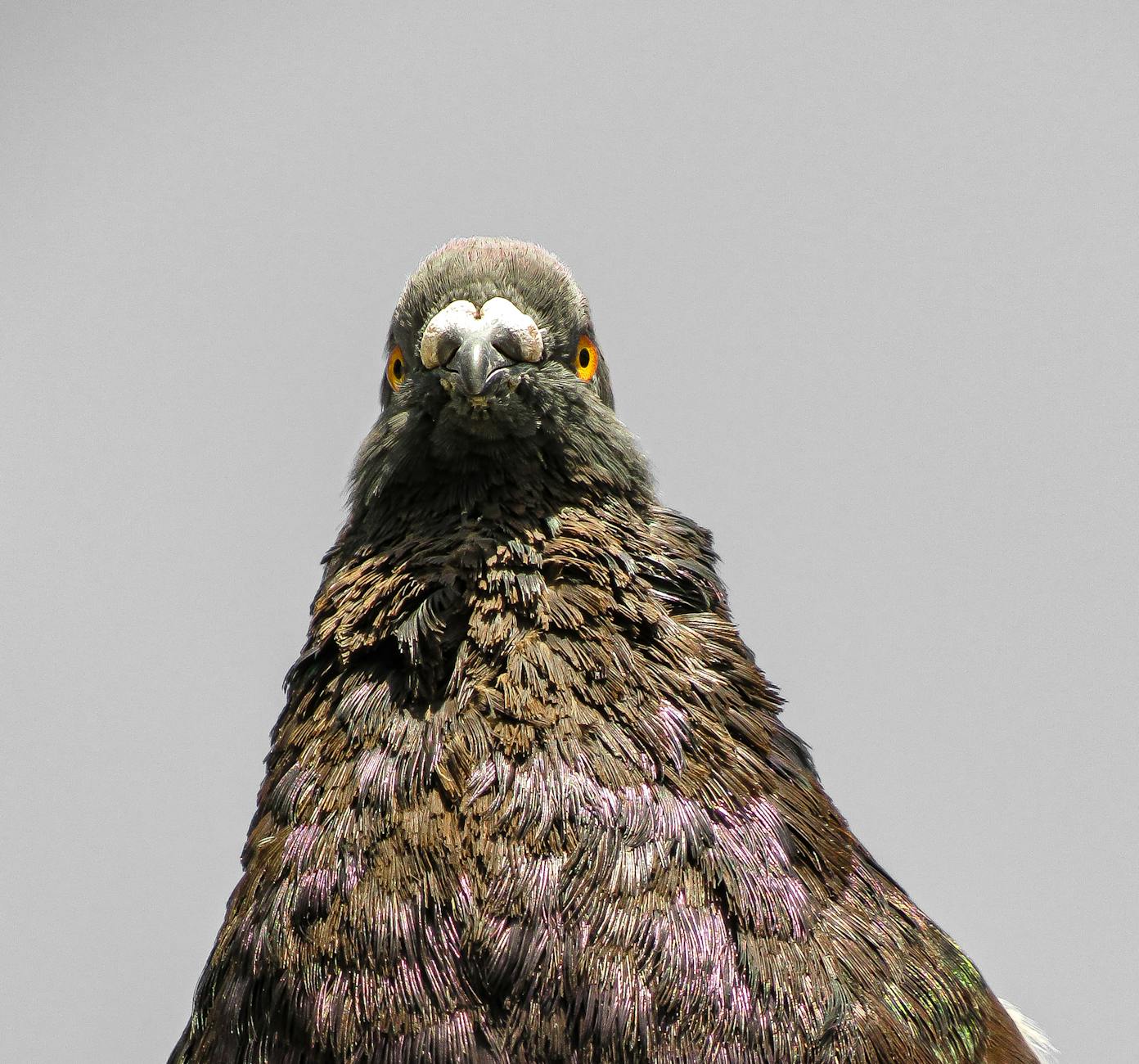 What Are the Most Common Dancing Mistakes That Waste Your Time?