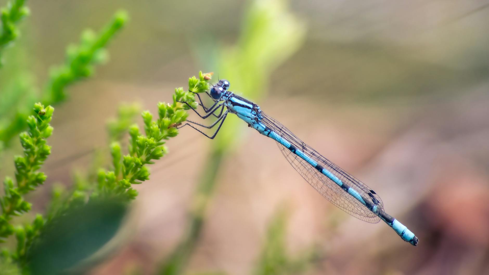 What Are the Most Common Jump Rope Technique Mistakes That Waste Your Time?