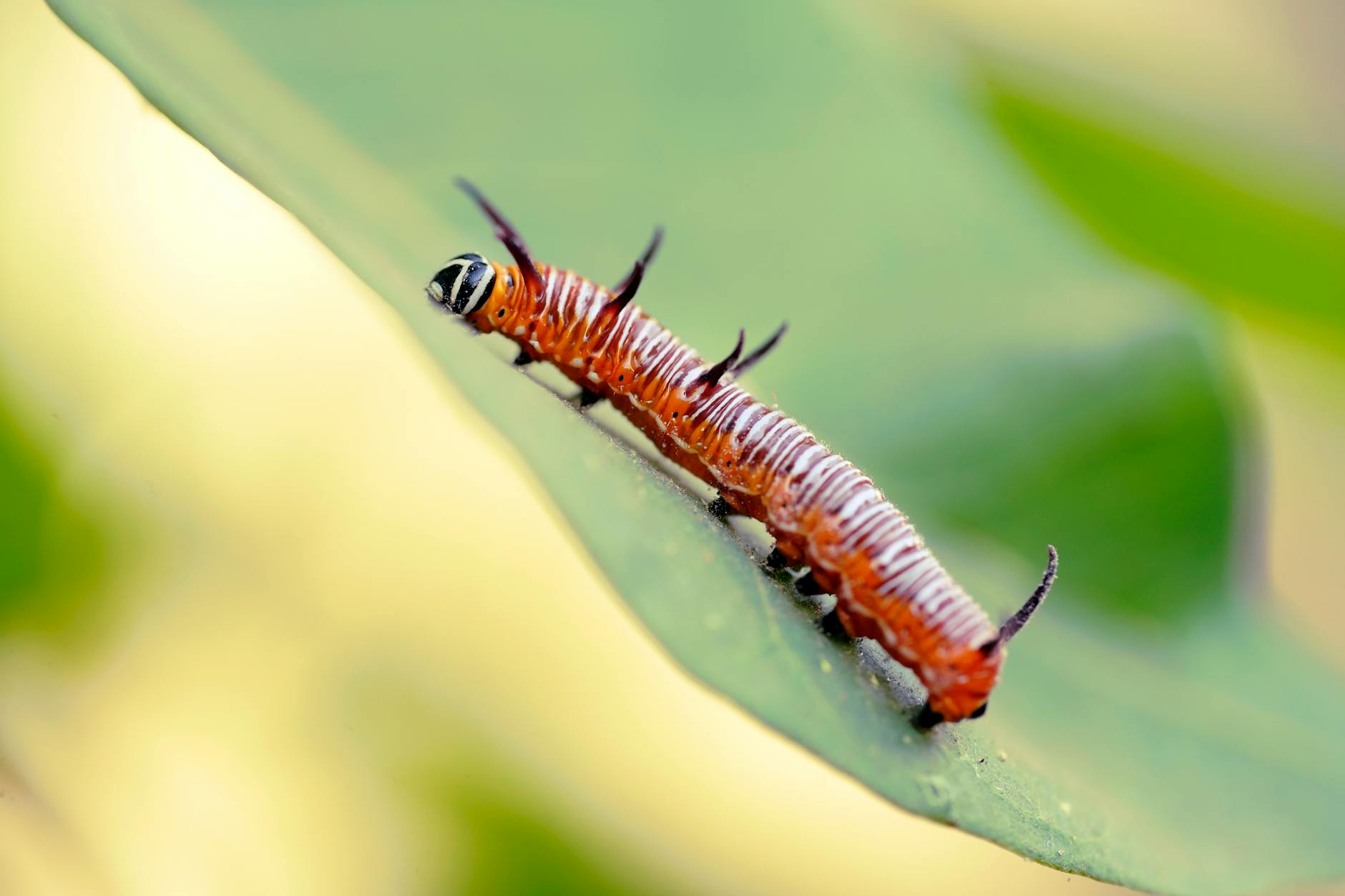 What Are the Most Common Stair Climbing Mistakes Wasting Your Workout?