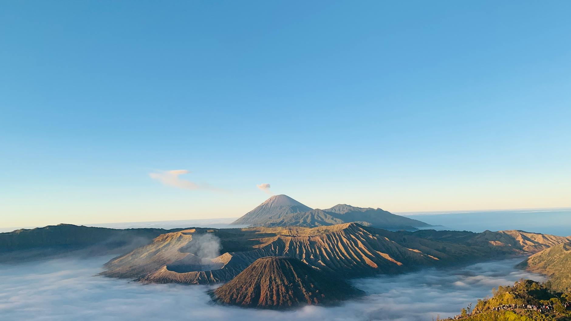 What Are the Proven Health Benefits of Long Runs for Runners Over 60?