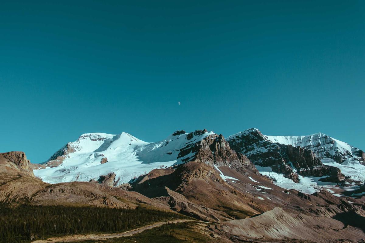 What Can Beginners Actually Achieve with Walking Alone?