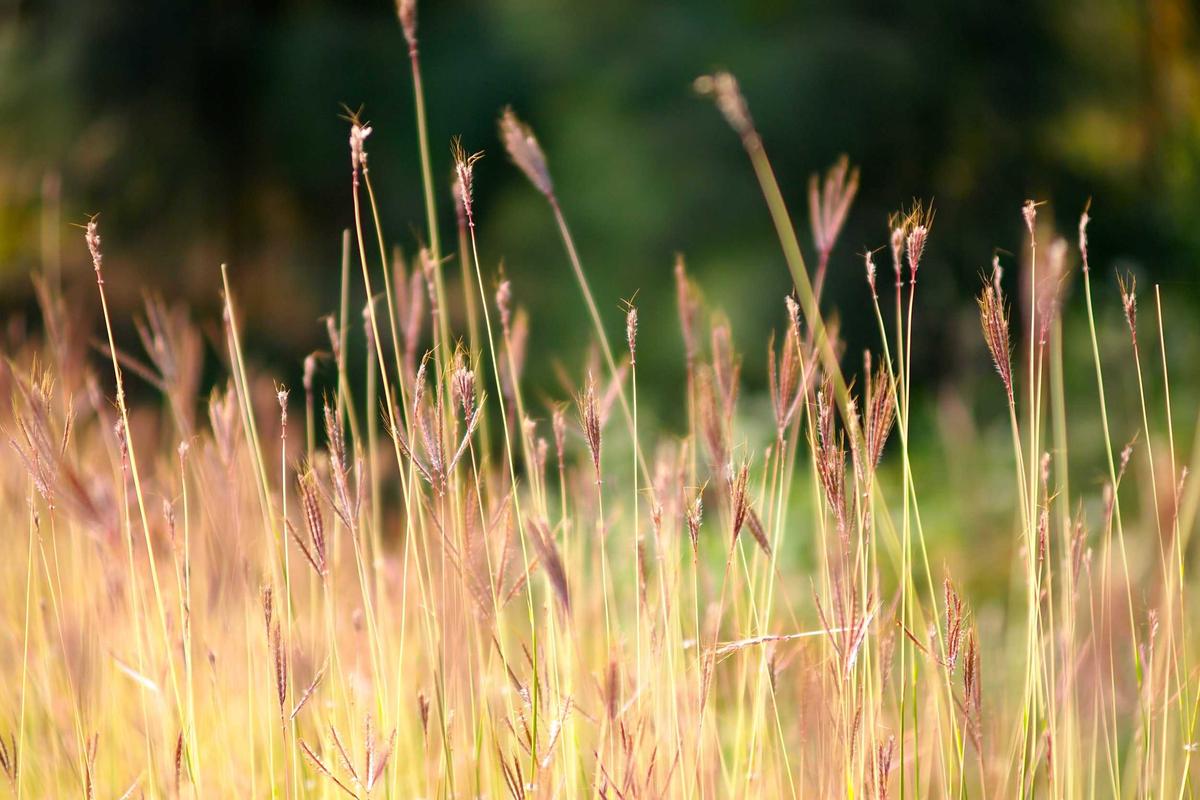 Why Combining Walking and Running Burns More Fat Than Either Alone