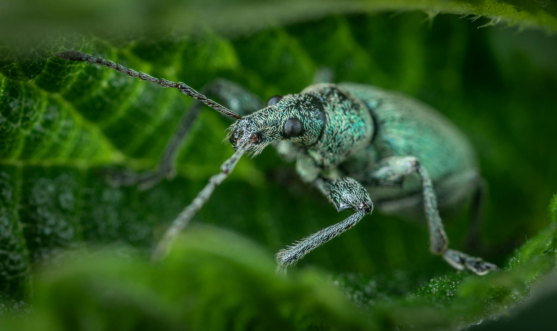 Why Does 150 Minutes Represent the Cardio Transformation Threshold?