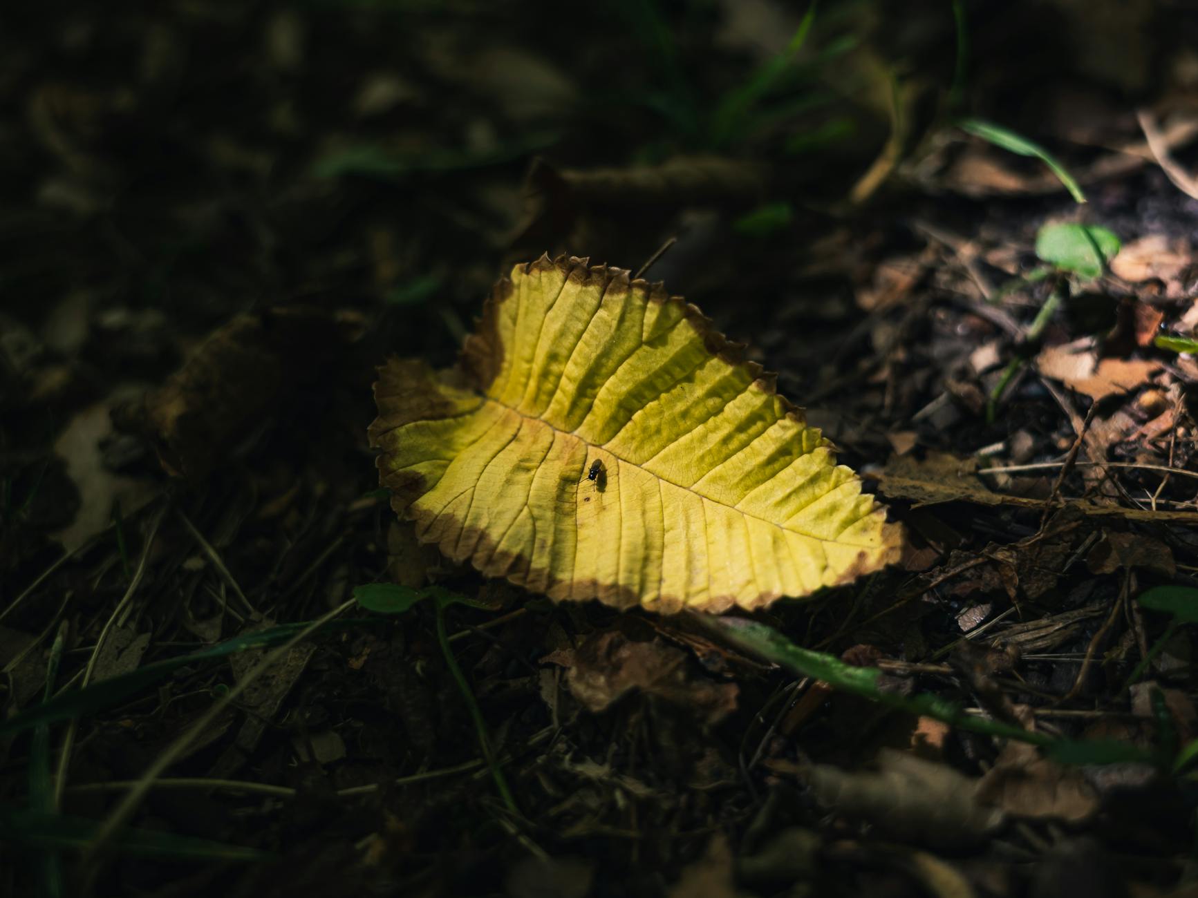 Why Does the 10 Percent Rule Matter When Extending Your Run From 3.5 to 7 Miles?