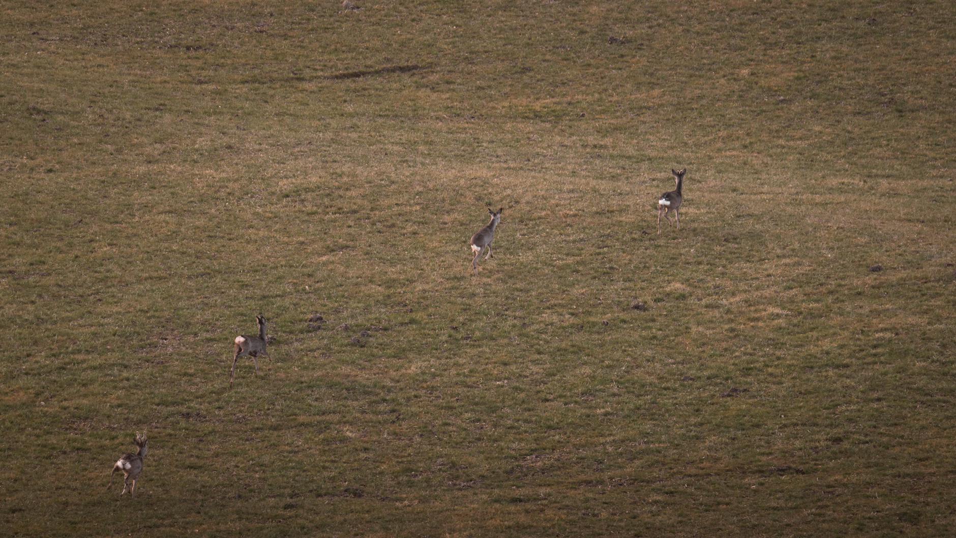 Why Per-Minute Calorie Comparisons Can Be Misleading