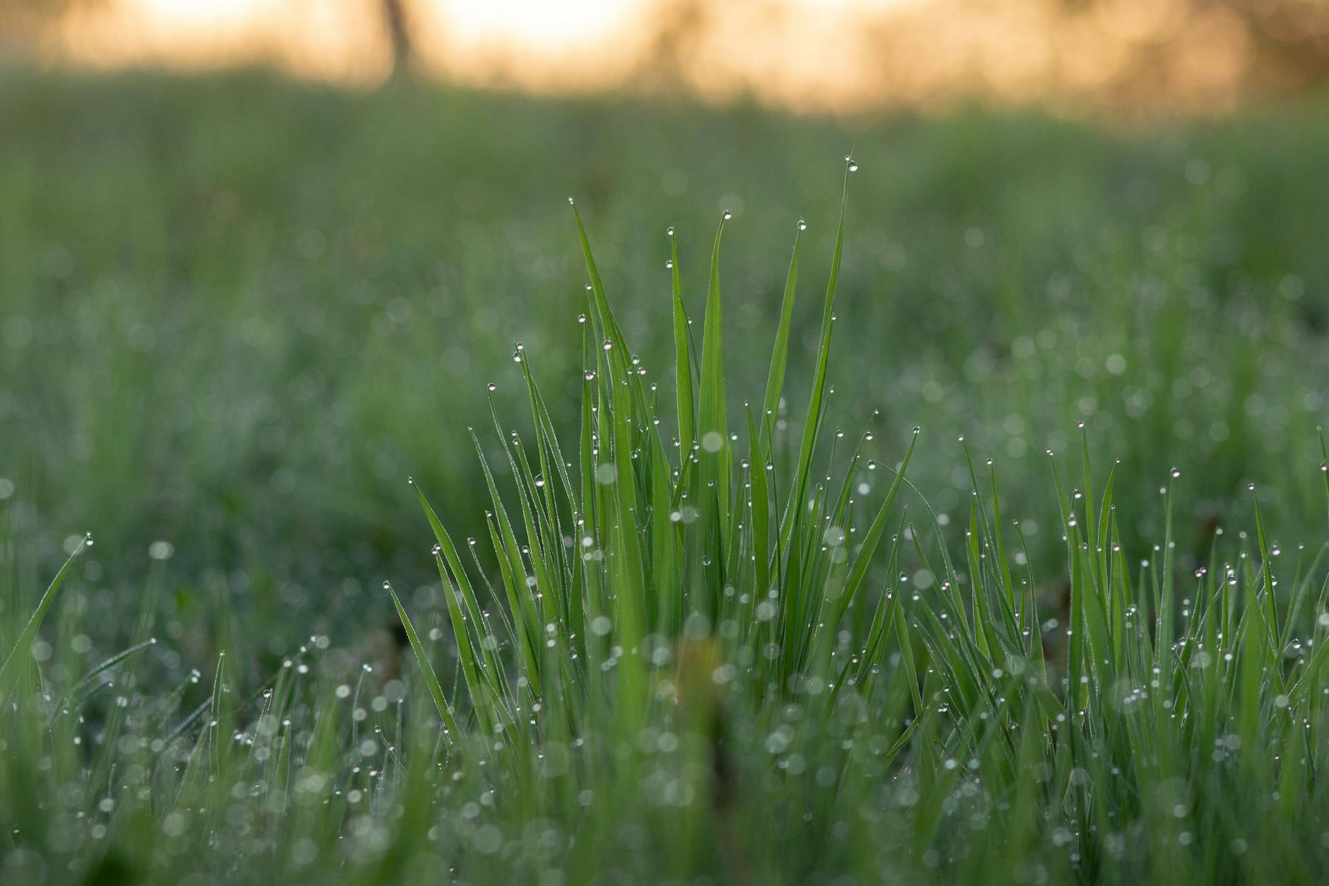 Does Morning Versus Evening Timing Affect Weight Loss Differently?