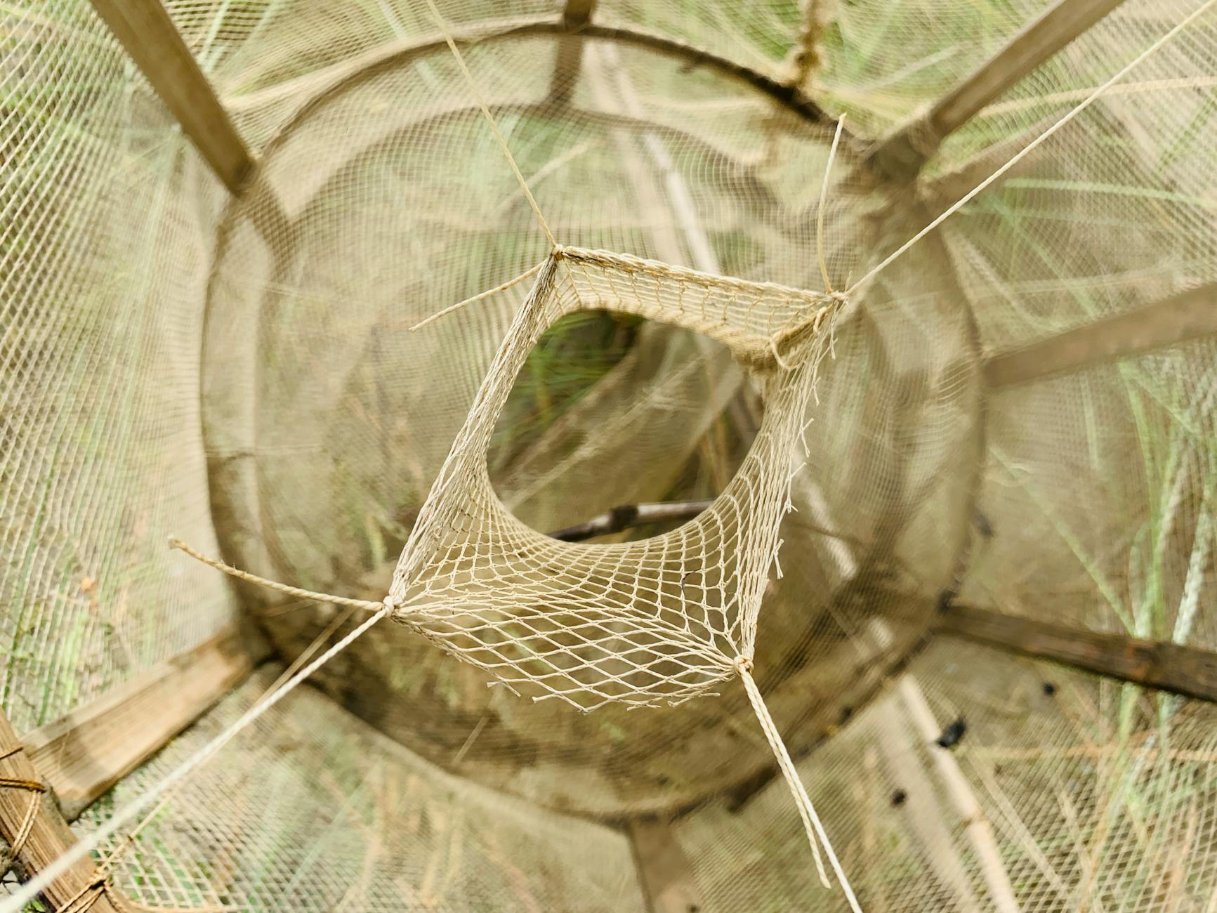 How Does the Galloway Method Actually Work?