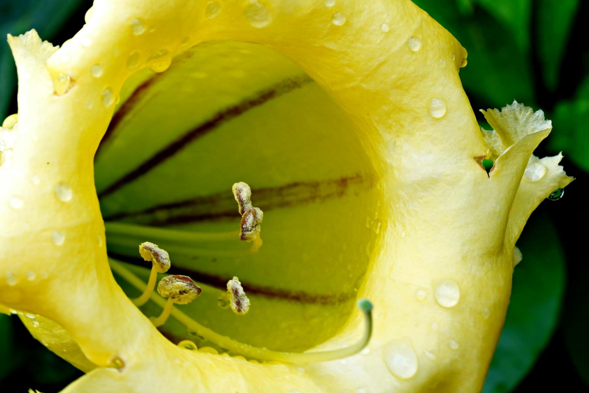 How Much Vigorous Activity Actually Makes a Difference?