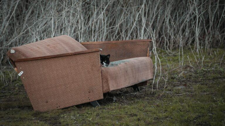 Is the Couch to 5k Right for You - Featured image