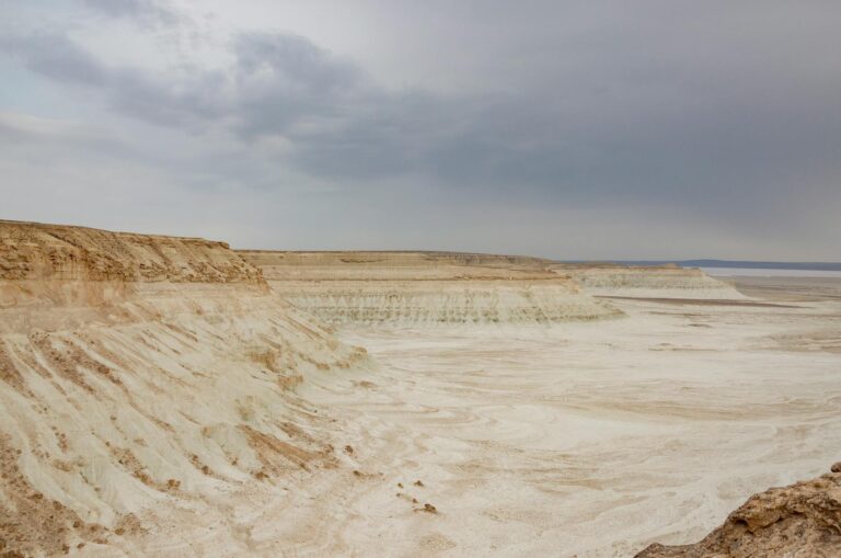 Plateau Risk: One Session vs Frequent Stimulus - Featured image